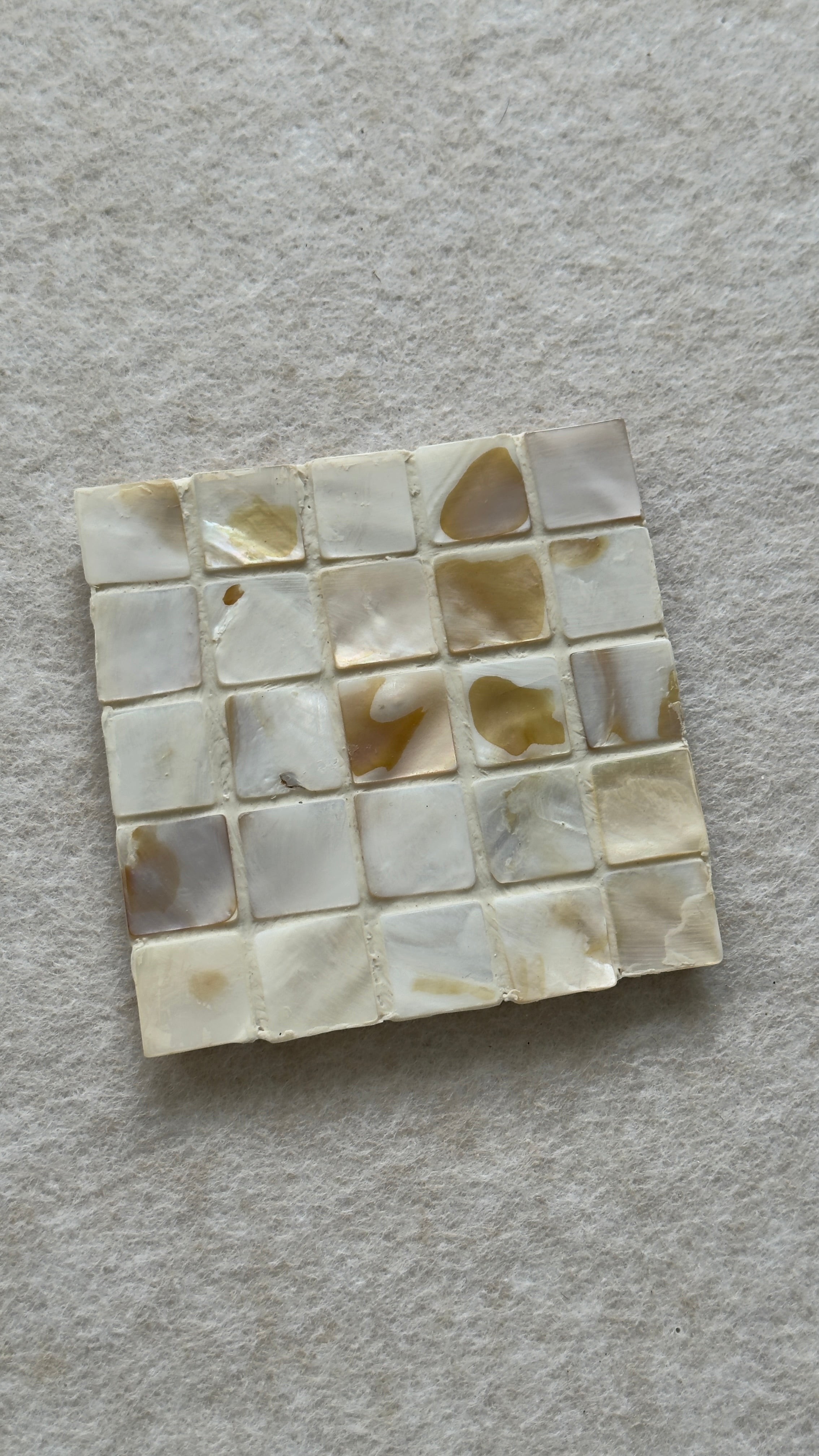 Shell Tile Coasters